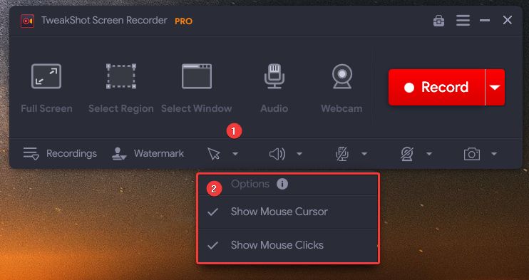 select the Mouse cursor tweakshot