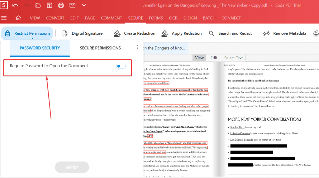 Require Password To Open The Document in sodapdf