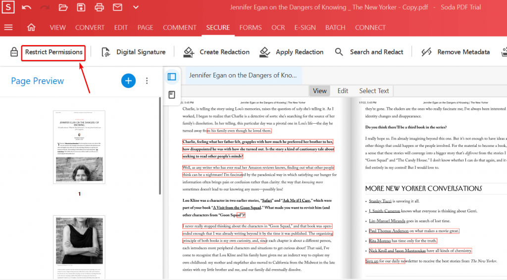restrict permissions in sodapdf