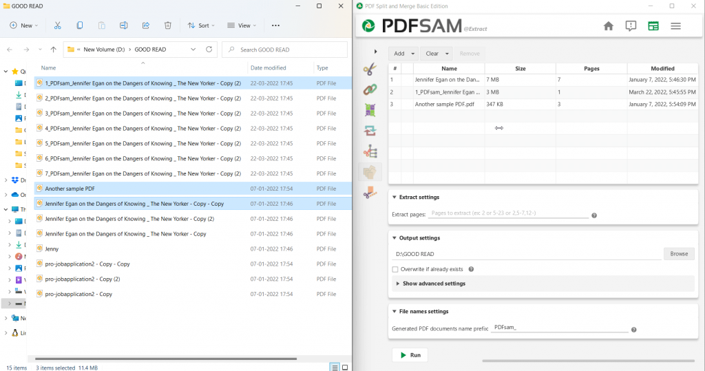 single PDF file or multiple PDF files