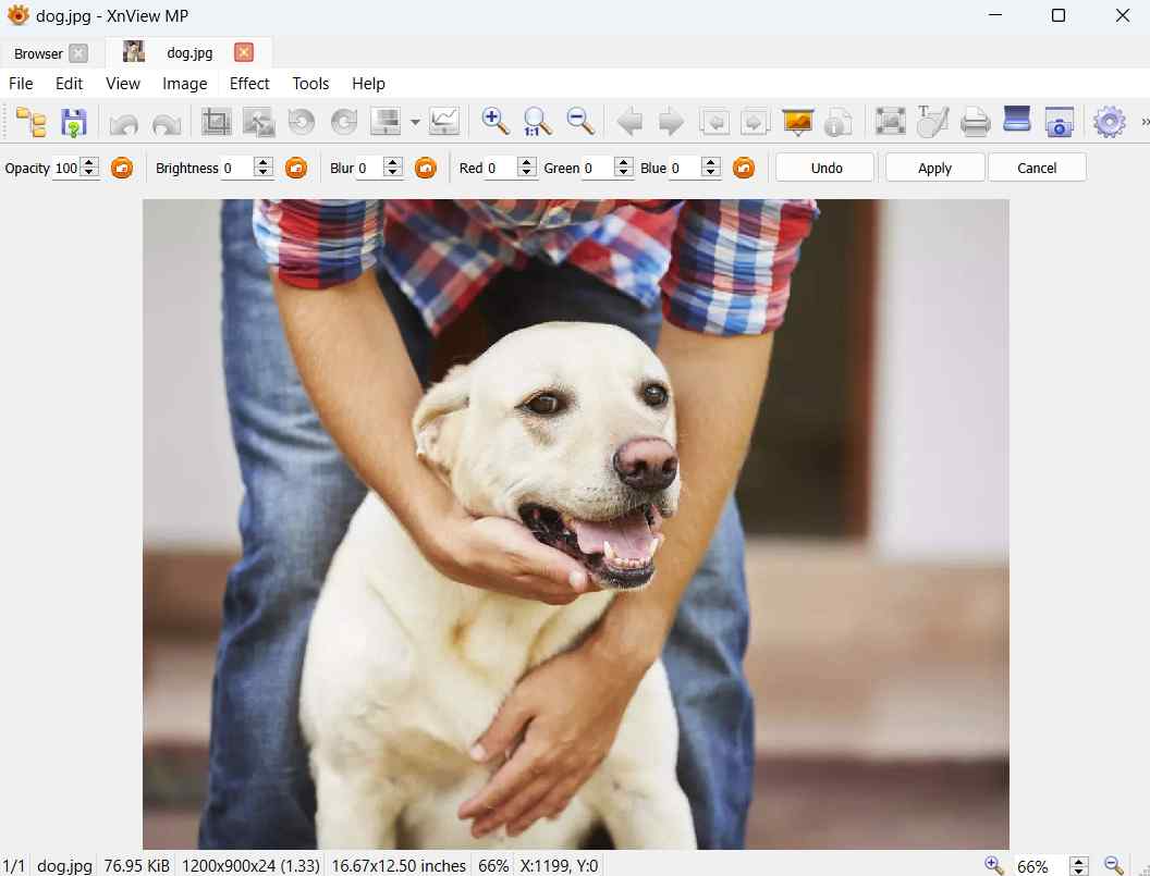 free photo viewer for windows 10